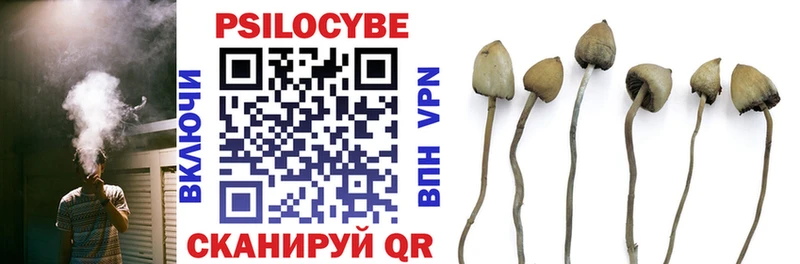 Псилоцибиновые грибы Psilocybe  Касимов 