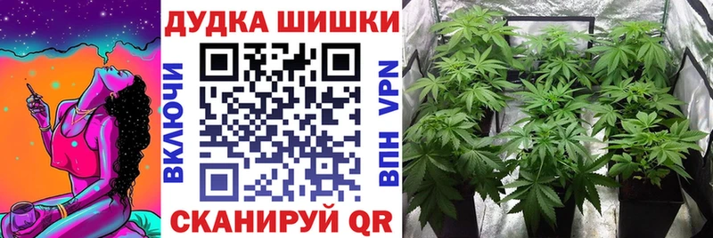 Бошки Шишки ГИДРОПОН  Касимов 